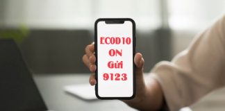 goi-ecod10-viettel